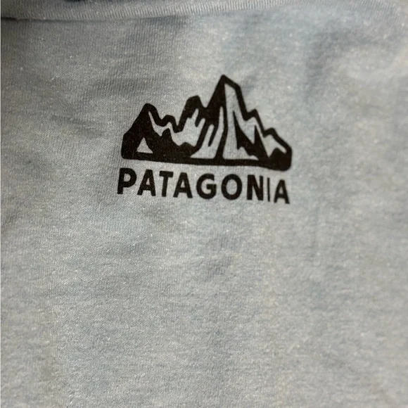 Patagonia Fitz Roy Scope Responsibili-Tee Long Sleeve T-Shirt - Picture 4 of 8